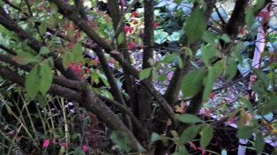20170906_200427.jpg