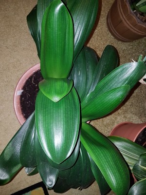 20170924_201619[1].jpg