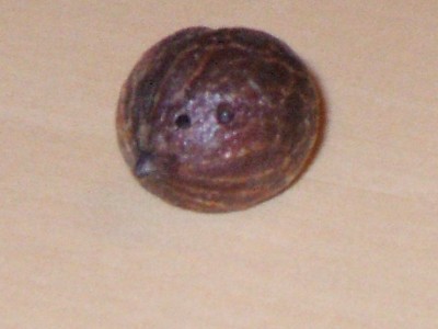 DSCF0378.JPG