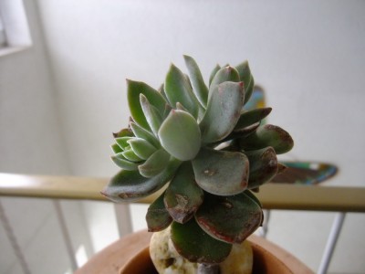 DSCF1155.JPG