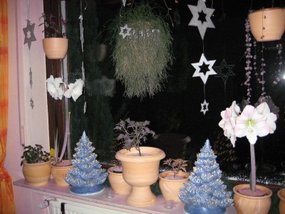 Fenster Weihnachten.jpg
