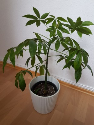20180111_140838.jpg