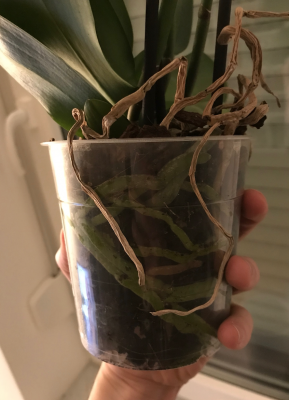 Bildschirmfoto 2018-01-15 um 23.24.09.png