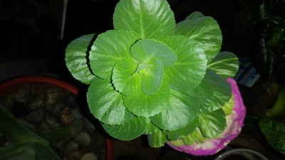 20180122_211713.jpg