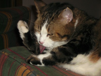 BILD0119.JPG