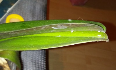 20180308_204934.jpg
