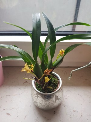 20180310_081206.jpg