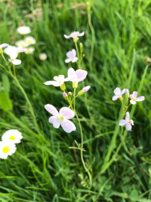 9E0A8707-5BDA-4A0C-8D6E-75E33B610BF7.jpeg