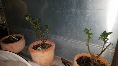 20180428_204742.jpg