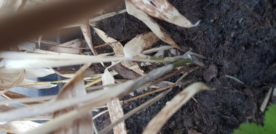 20180430_183359.jpg