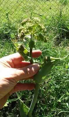 20180516_114512.jpg
