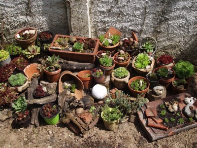 DSCF7386.JPG