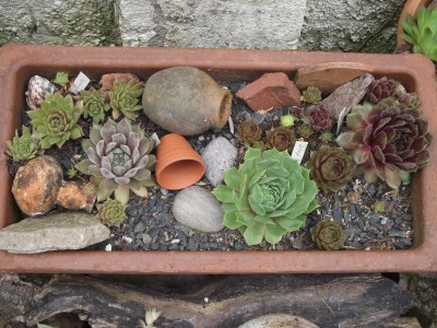 DSCF7409.JPG