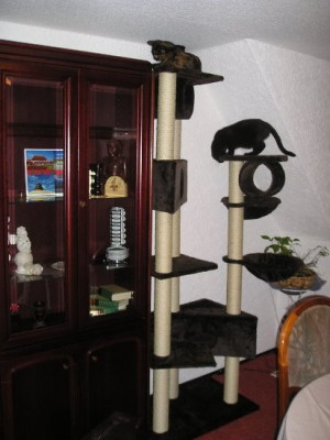 P1010103.jpg