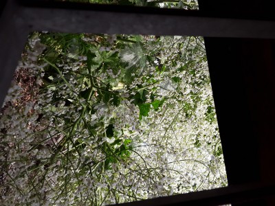 20180527_172856.jpg