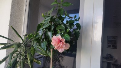 20180606_183141.jpg