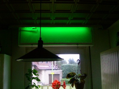 PICT0397.JPG