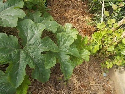 DSCN3338.JPG