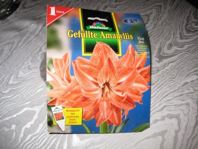 Ama gefüllt orange.jpg