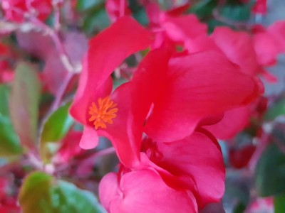 K800_20180701_215400.JPG