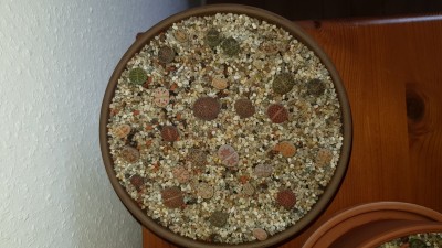 IMG-20180705-WA0004.jpeg