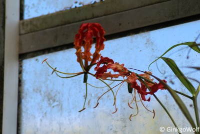 IMG_2956.JPG
