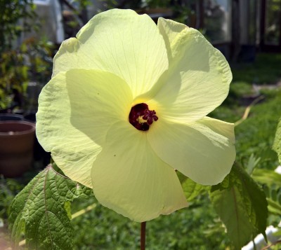 WP_20180525_15_16_51_Pro (2).jpg