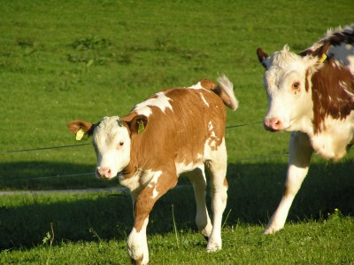 Julia mit Anabell.JPG