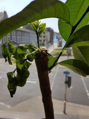 20180721_135714_1.jpg