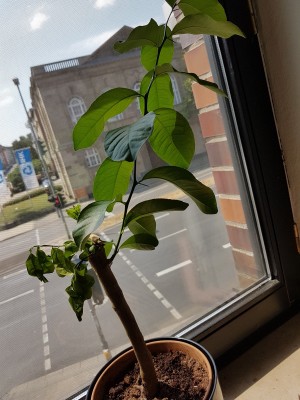20180721_135719_1.jpg