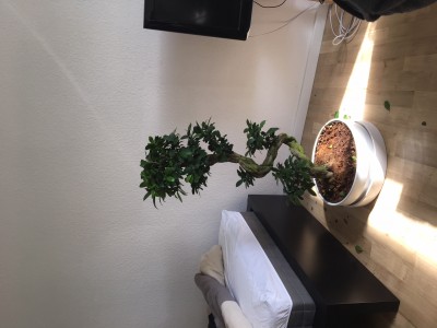 image1.jpeg