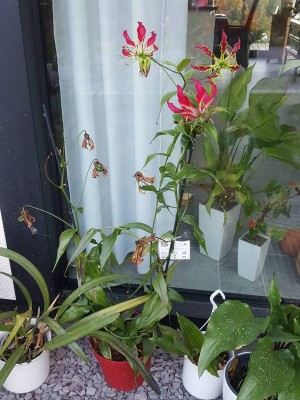 20180730_204513.jpg