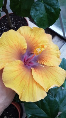 20180716_203623.jpg