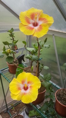 20180617_142250.jpg