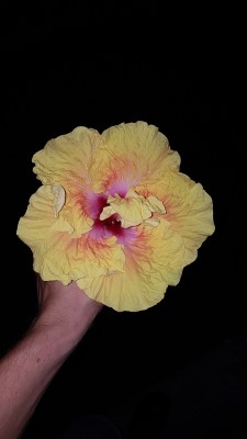 20180604_215628.jpg