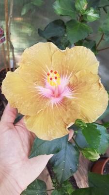 20180601_141445.jpg