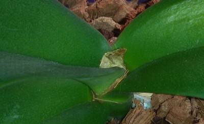 20180802_111627-1.jpg
