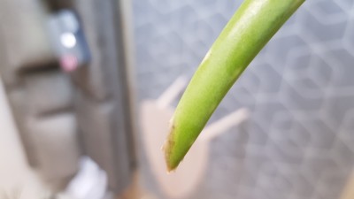 20180802_195558.jpg