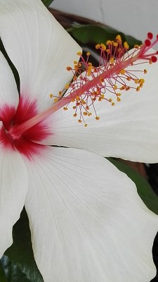 IMG_20180715_121710.jpg