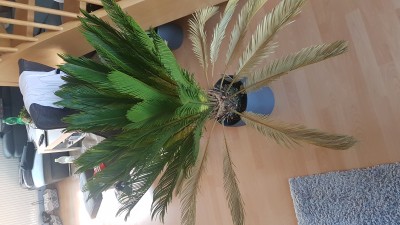 20180810_095559.jpg