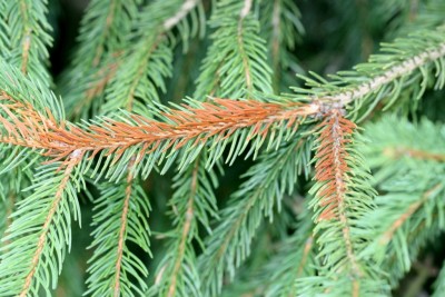 IMG_5773.JPG