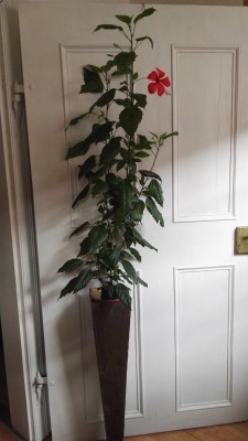 IMG_20180828_084643.jpg