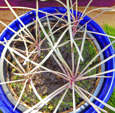 P1080832.gif