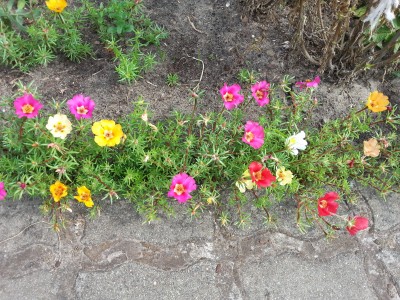 20150722_101317.jpg