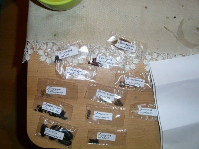 PICT0406.JPG