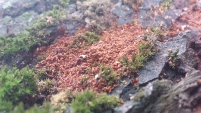 20180907_121857.jpg