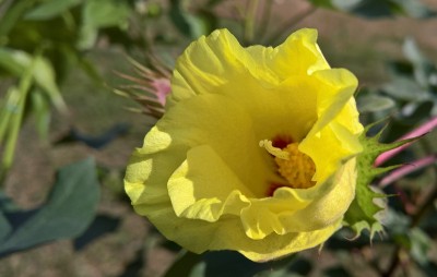 WP_20180907_13_39_41_Pro.jpg