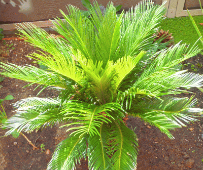 P1080802.gif