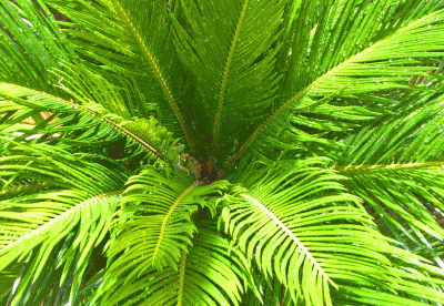 P1080801.gif