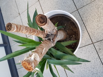 20180912_083006.jpg